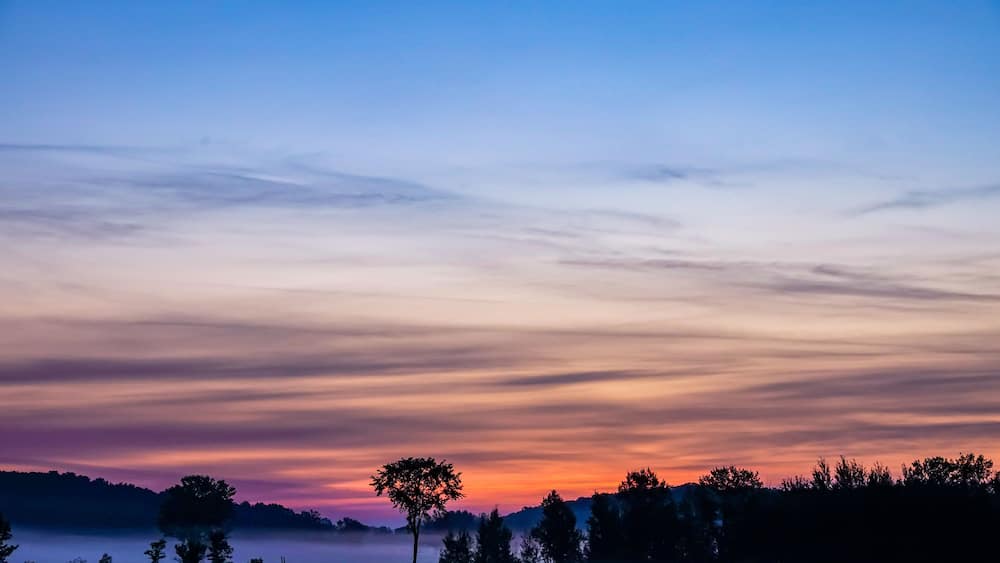 A sunset over a misty landscape with silhouetted trees and a clear sky.