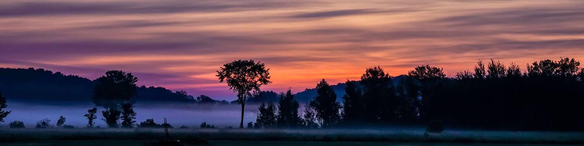 Morning Mist Dampens the Ground at Daybreak in Rural Oro-Medonte