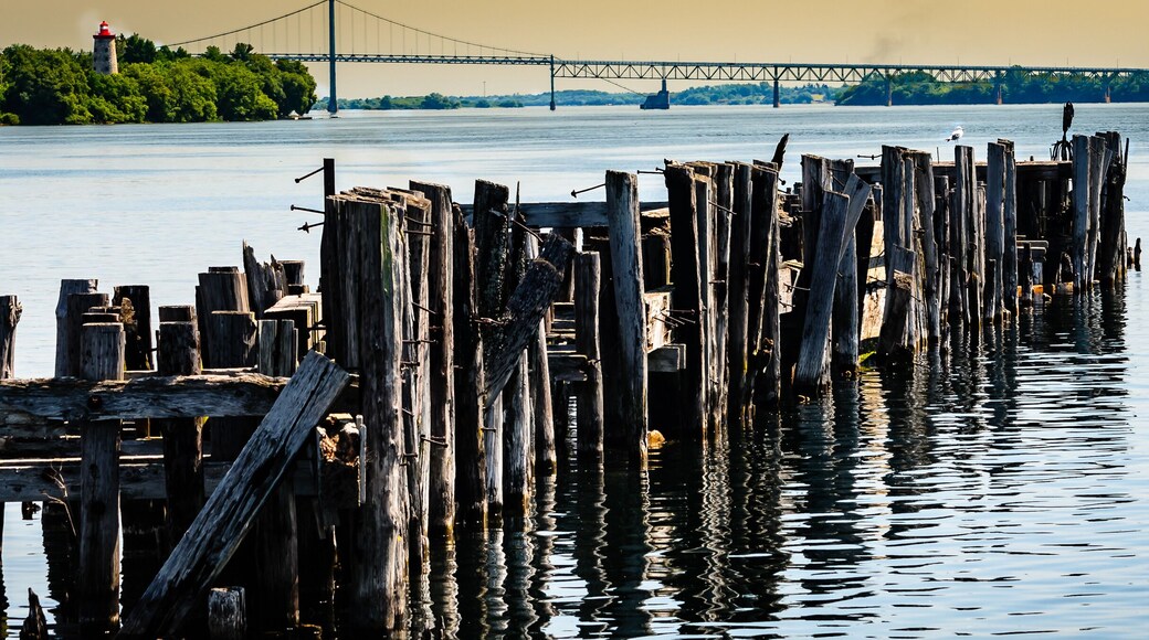 Antique Pilings from an old port