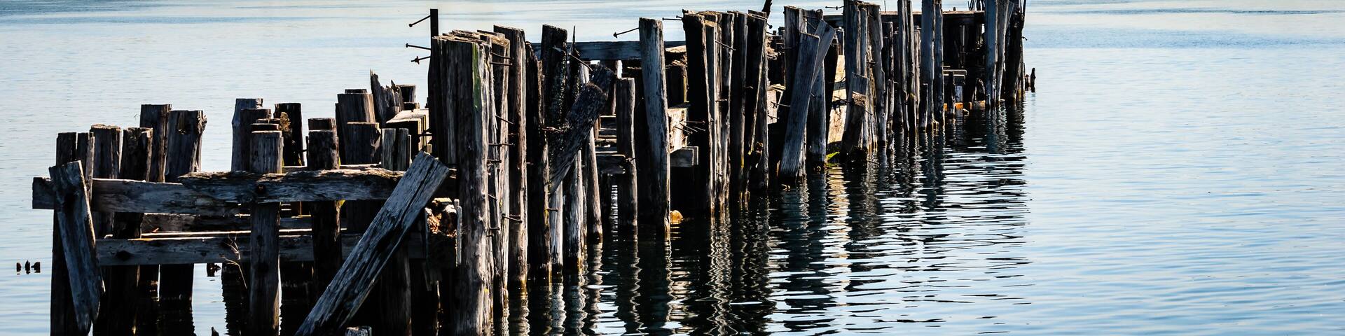 Antique Pilings from an old port