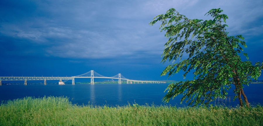 Un puente sobre el agua, con un árbol en primer plano.