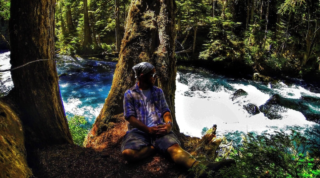 With the clearest and bluest river waters I've ever seen, the McKenzie River trail is perfect for mountain bikers looking for a long 26 mile trail through lush forests, as well as those that would rather hike smaller sections. The river and scenery never disappoint. #colorful