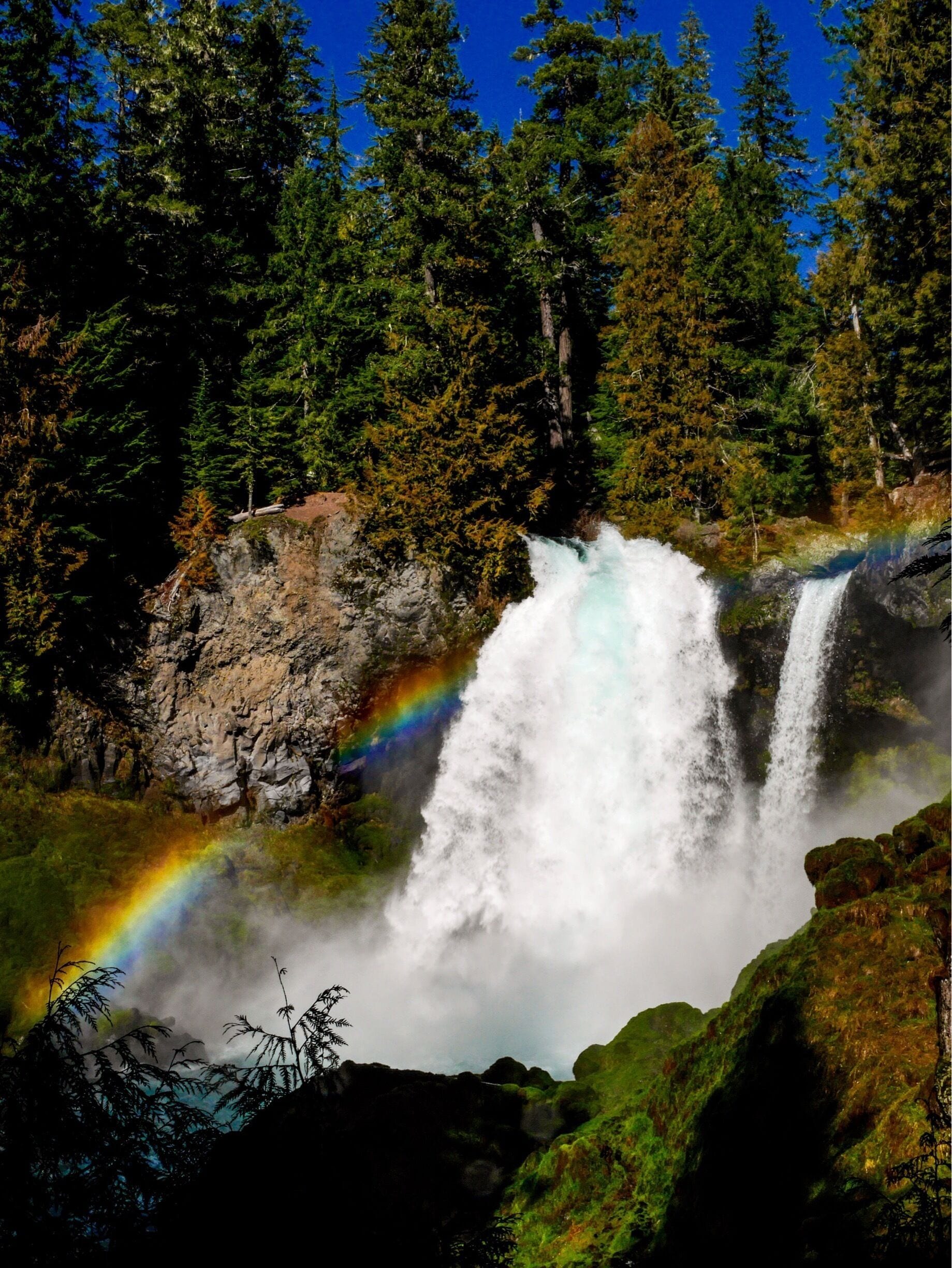 A waterfall with a rainbow in a forested area.