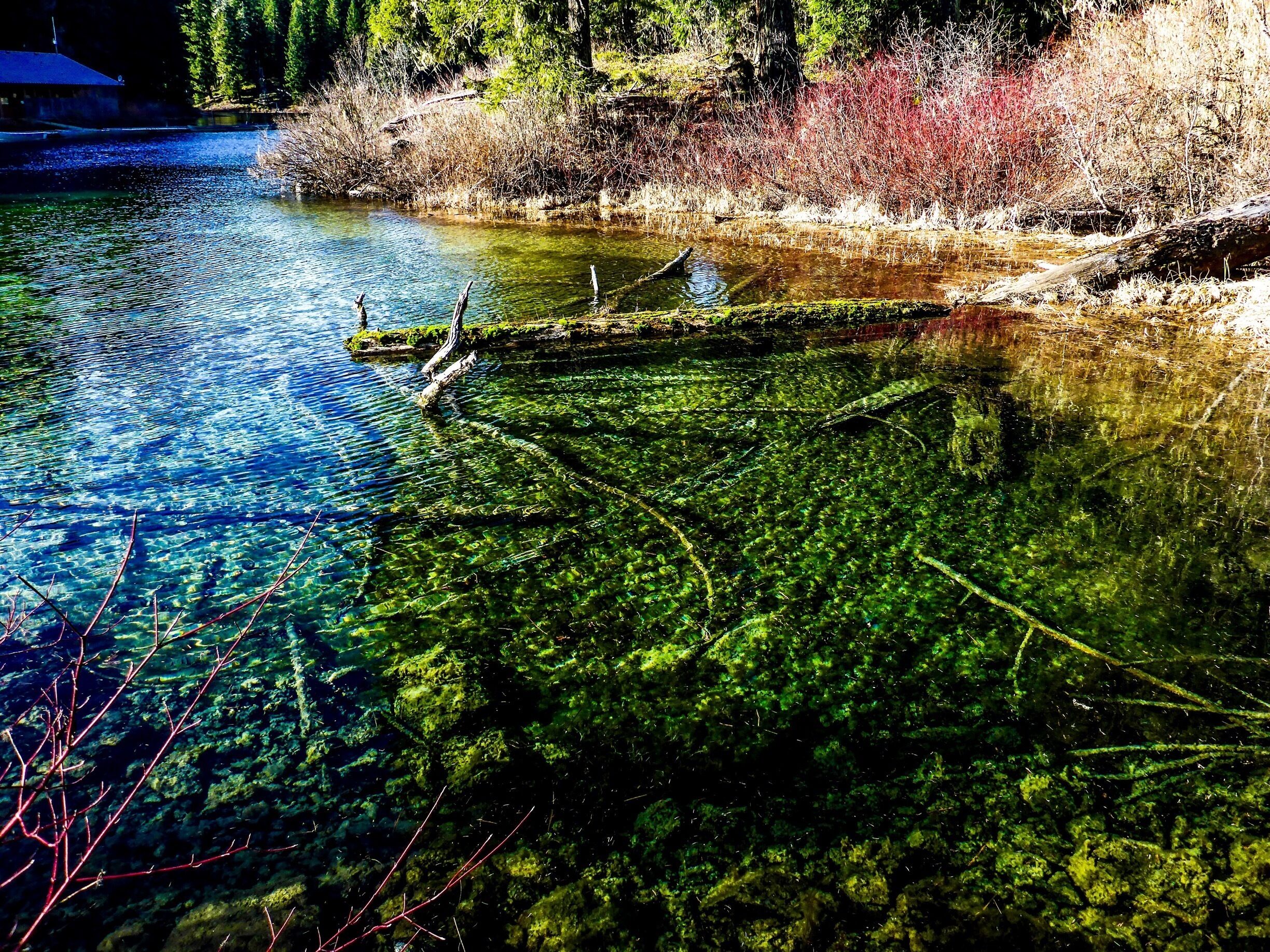 Clear lake was created 3,000 years ago by a lava flow, in the same way most of the topographical formations in the area were formed.  The water is so clear that when the surface is still you can reportedly see the remains of a "ghost forest" at the bottom.  It is an extremely popular destination for scuba divers, and when you take a look at the sheer clarity of the water, you can see why.