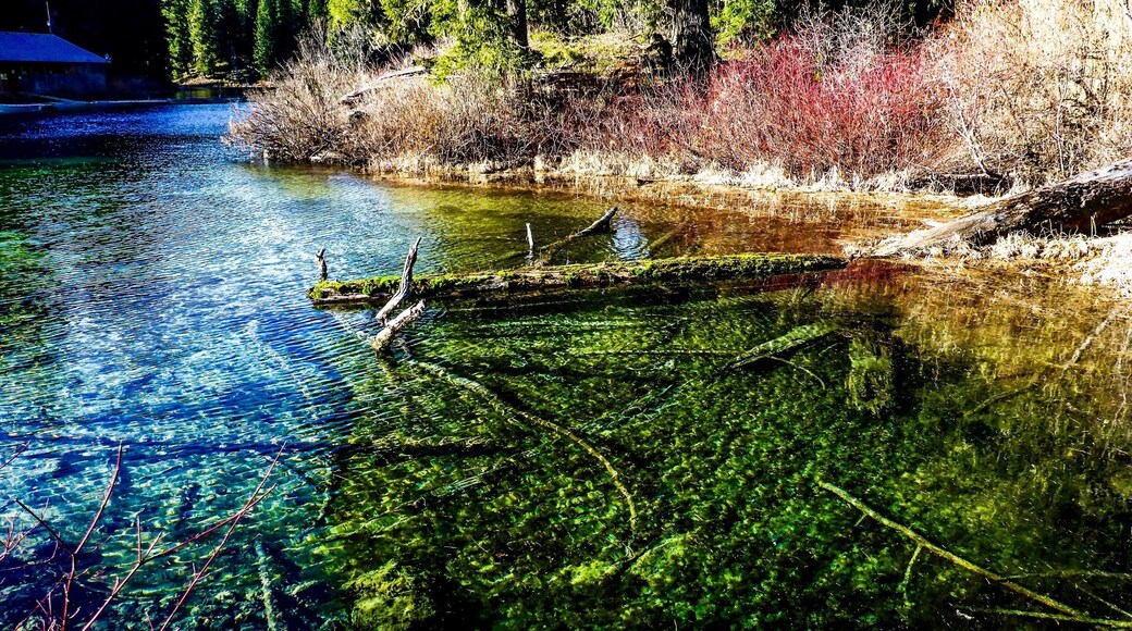 Clear lake was created 3,000 years ago by a lava flow, in the same way most of the topographical formations in the area were formed. The water is so clear that when the surface is still you can reportedly see the remains of a "ghost forest" at the bottom. It is an extremely popular destination for scuba divers, and when you take a look at the sheer clarity of the water, you can see why.