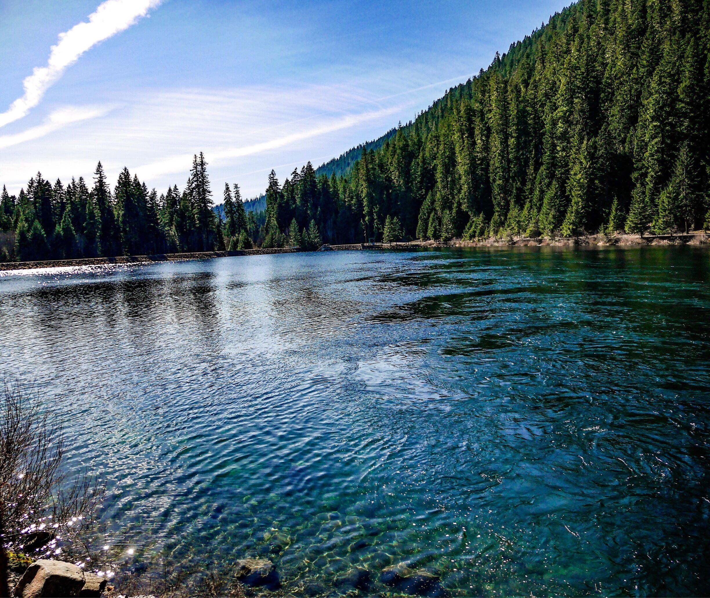 A clear river surrounded by dense forest and a mountain.
