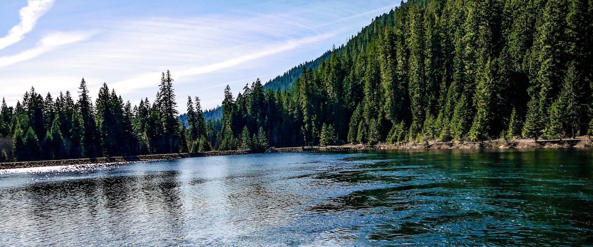 This serene little spot is at the tail-end of the thundering cataract that flows across both Sahalie and Koosah Falls -- part of the McKenzie River. It is almost difficult to believe that they are located in the same place.