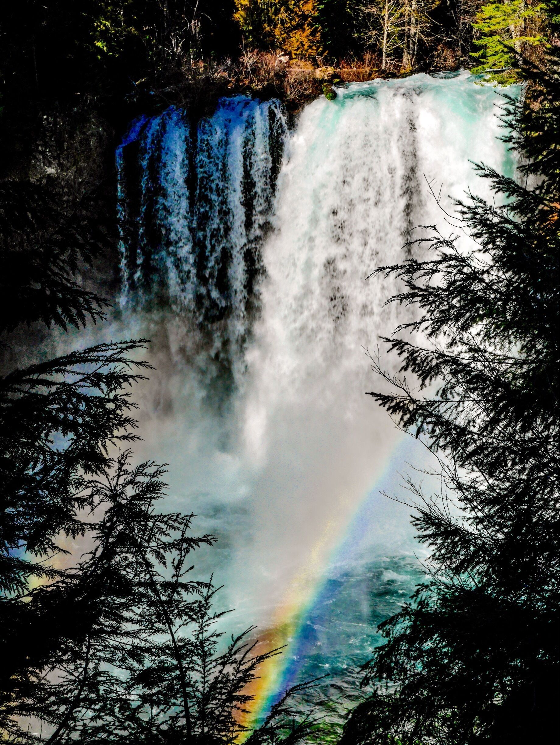 Detail view of Koosah Falls.