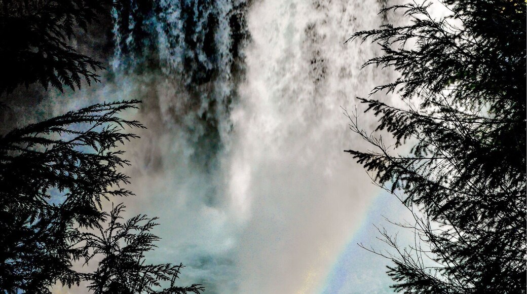 Detail view of Koosah Falls.