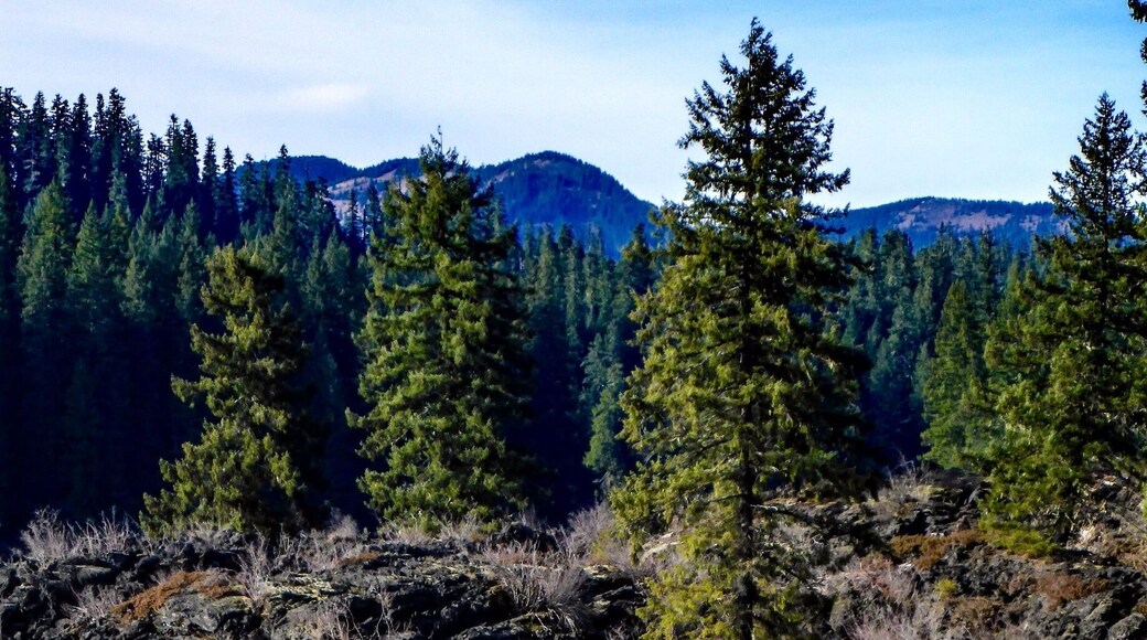 Fishermen test the waters of a cove lined entirely with obsidian. The lake is regularly stocked with prized Cuttthroat Trout.