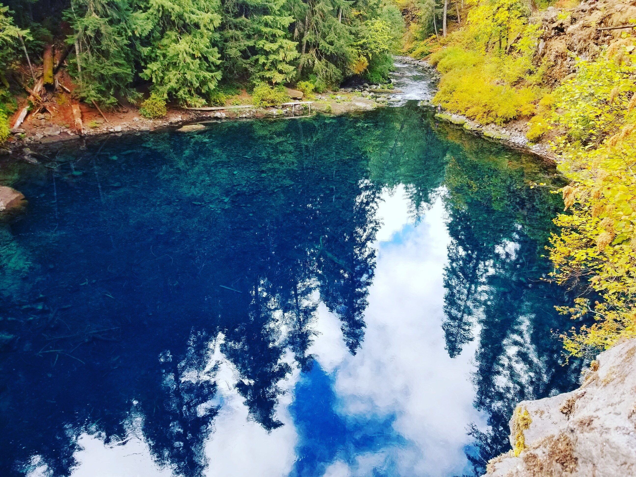 The Blue pools were so blue!

#oregon #hiking #nature #pools #blue #roadtrip