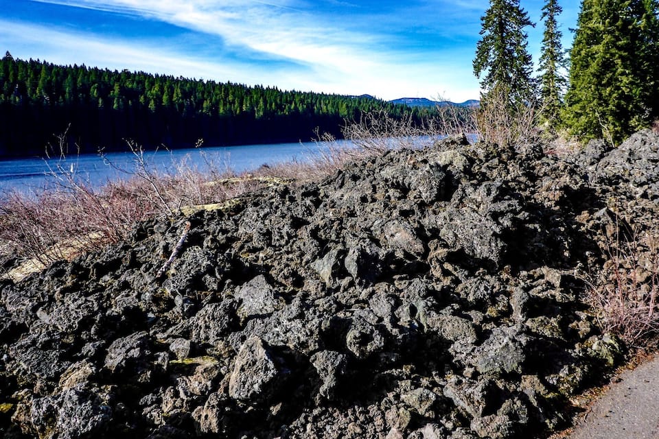 A rocky shoreline with a forested background and a clear sky.