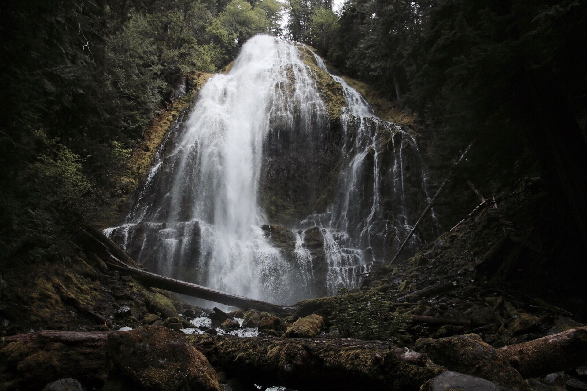 A waterfall cascading down a rocky cliff surrounded by dense forest.
