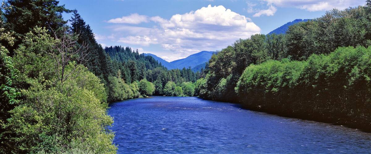 USA, Oregon, McKenzie River. The McKenzie River in the Cascade Range is one of Oregon's most favorite rafting sites.