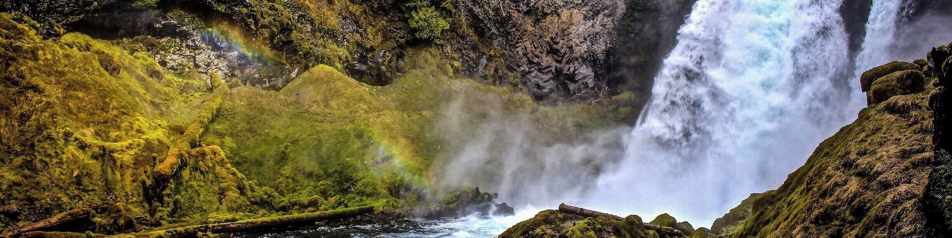 One rainy afternoon during our drive through Oregon, we visited Sahalie Falls. It is a beautiful, concealed waterfall in the Williamette National Forest. All the rain had left the moss and trees robust and dark green.