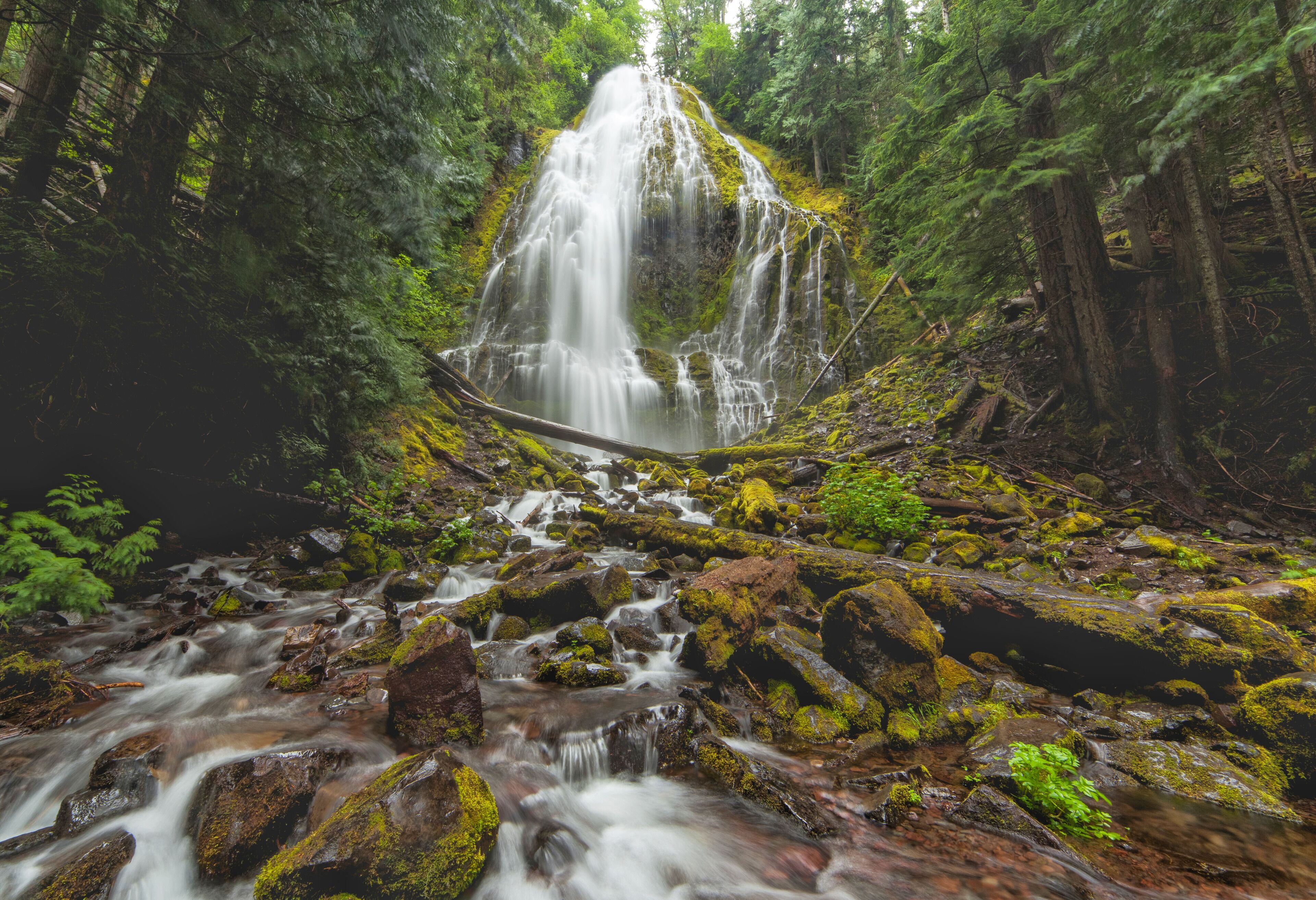 A waterfall cascading over moss-covered rocks in a dense forest.