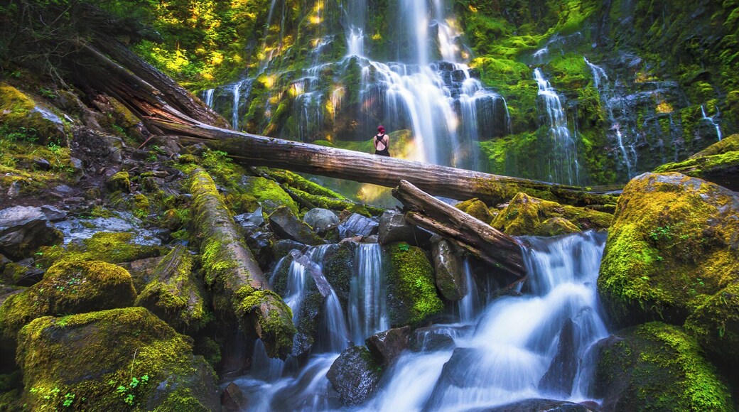 I just got back from one of the most epic road trips through Oregon. This state will blow your mind!
#travel #oregon #colorful #roadtrip #waterfalls #endlesssummer
