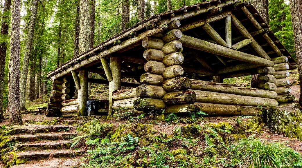 A picnic shelter back at the trailhead.