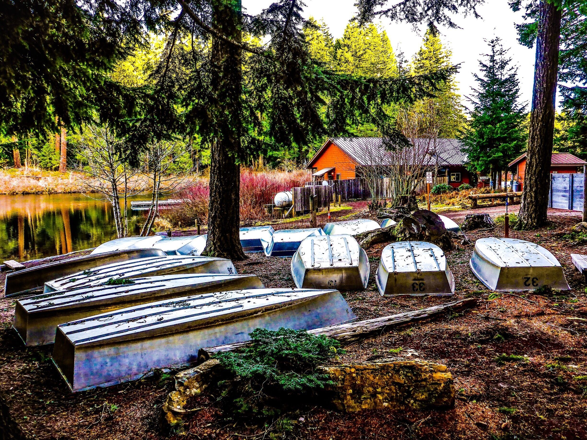Boats for rent at the lake's private resort.