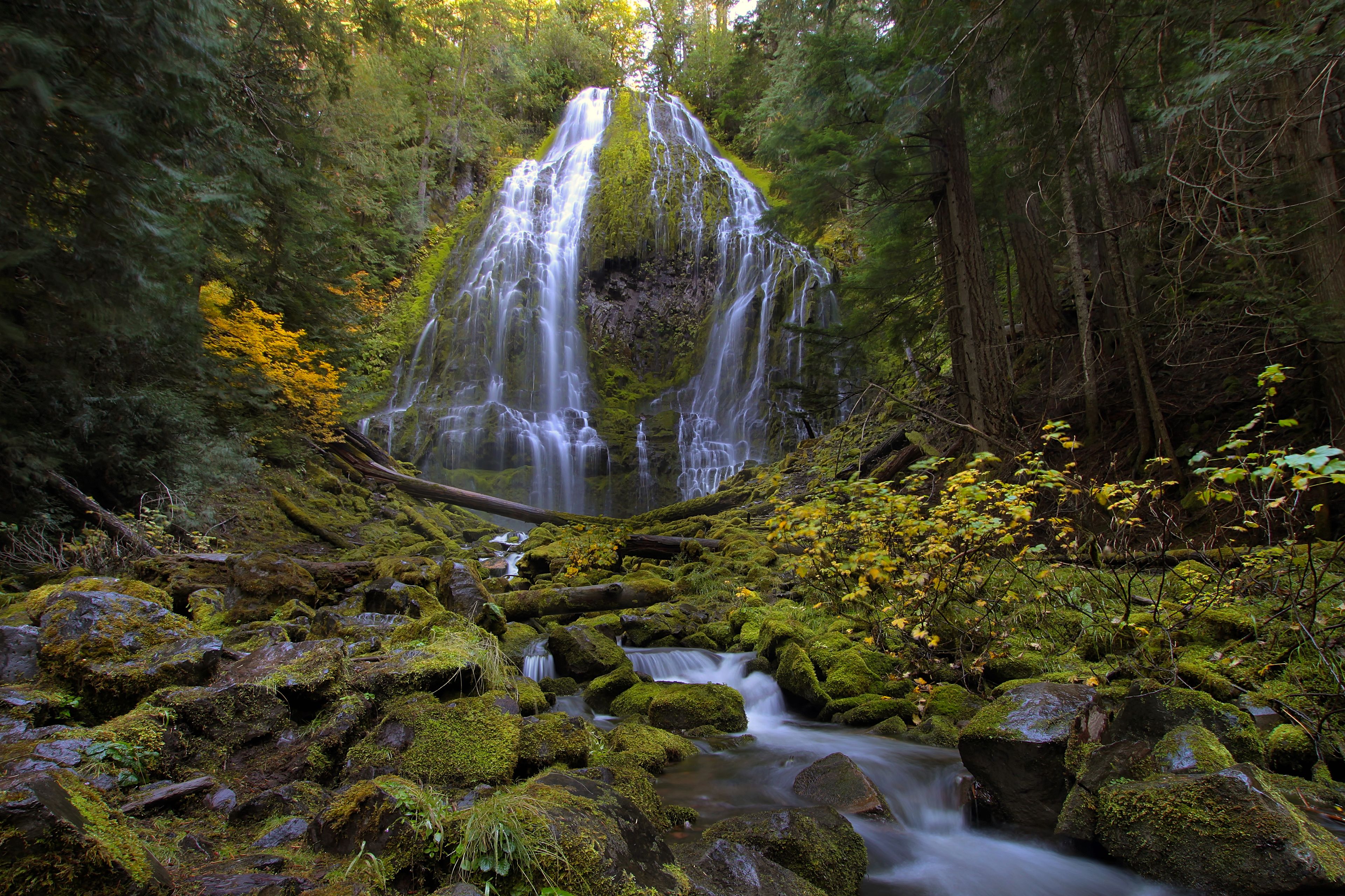 Proxy Falls