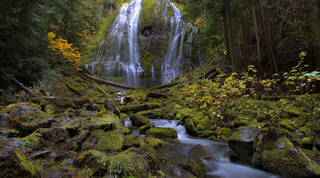 Proxy Falls