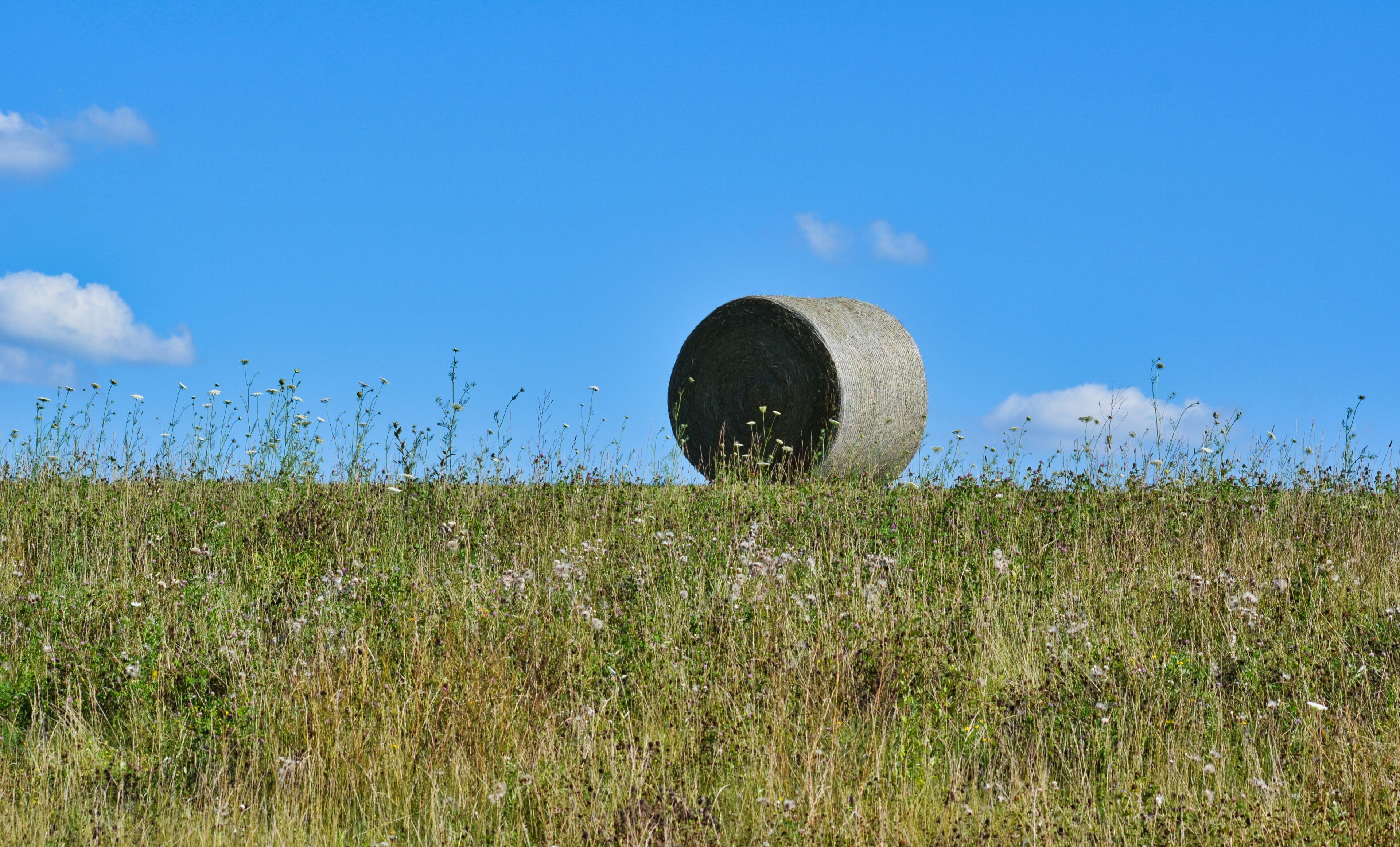 Hay Bale in Wildflower Meadow Ashland Ohio