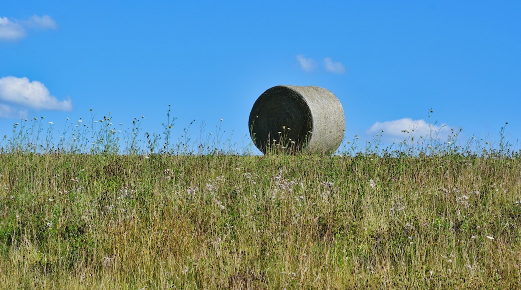 Hay Bale in Wildflower Meadow Ashland Ohio