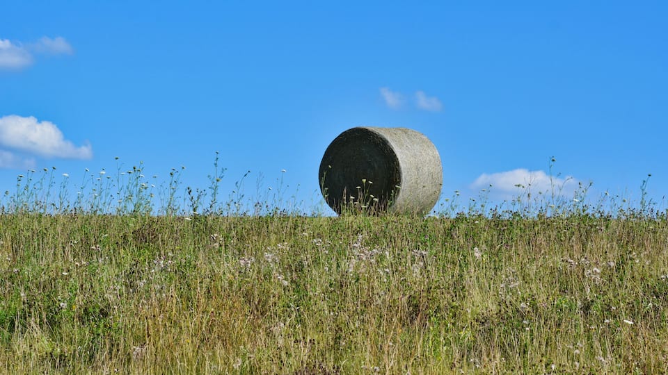 A hay bale in a field with a clear blue sky.