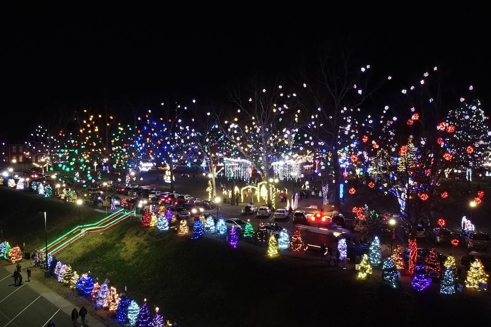 A nighttime view of a festive area with numerous illuminated trees and structures.