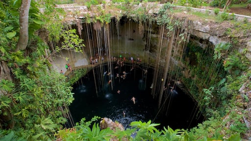Cenote Ik kil which includes a lake or waterhole and swimming as well as a small group of people