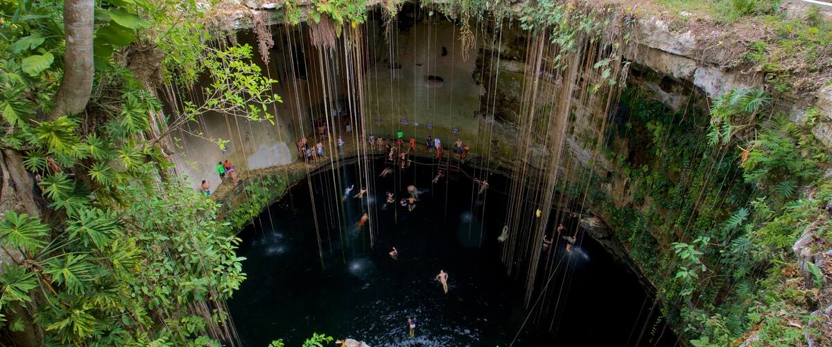 A natural pool surrounded by dense vegetation and a stone wall.