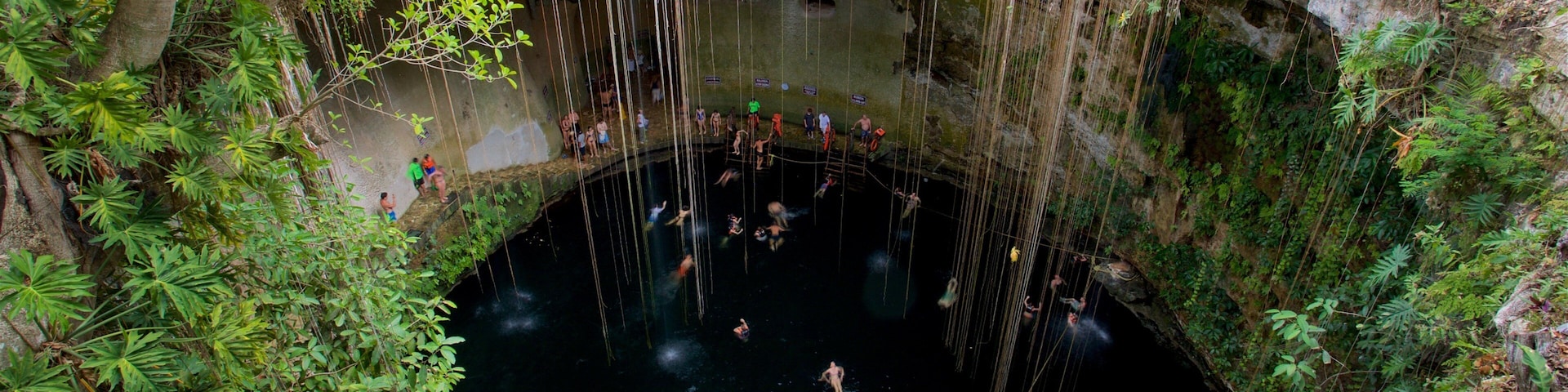 A natural pool surrounded by dense vegetation and a stone wall.
