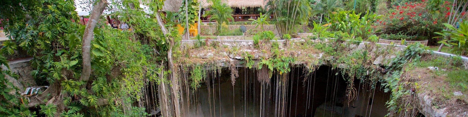 Cenote Ik kil which includes a lake or waterhole and swimming as well as a small group of people