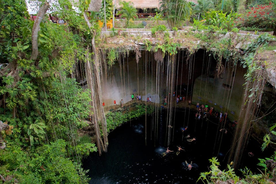 A natural water feature surrounded by dense vegetation and a stone structure.