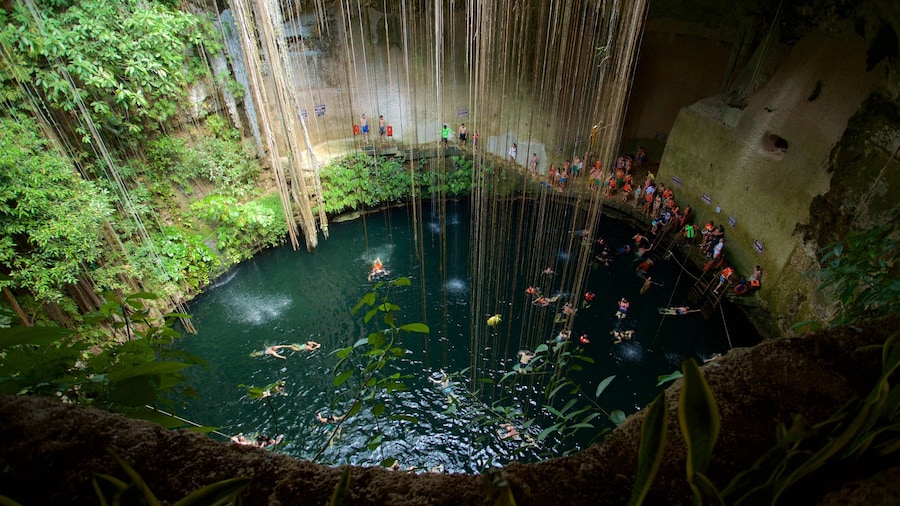 Cenote Ik kil showing swimming and a lake or waterhole as well as a small group of people
