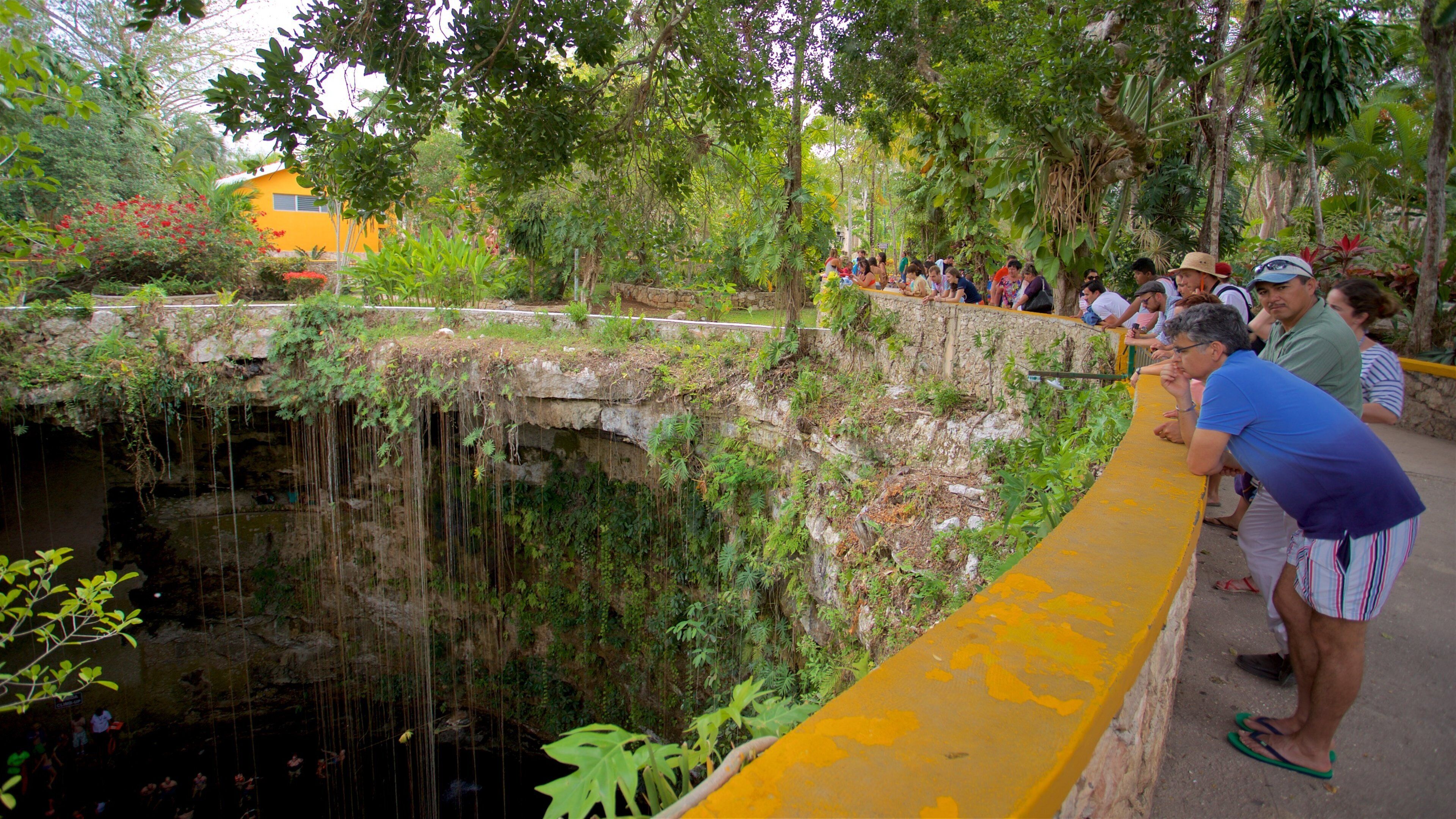 Cenote Ik kil showing a lake or waterhole and a park as well as a small group of people