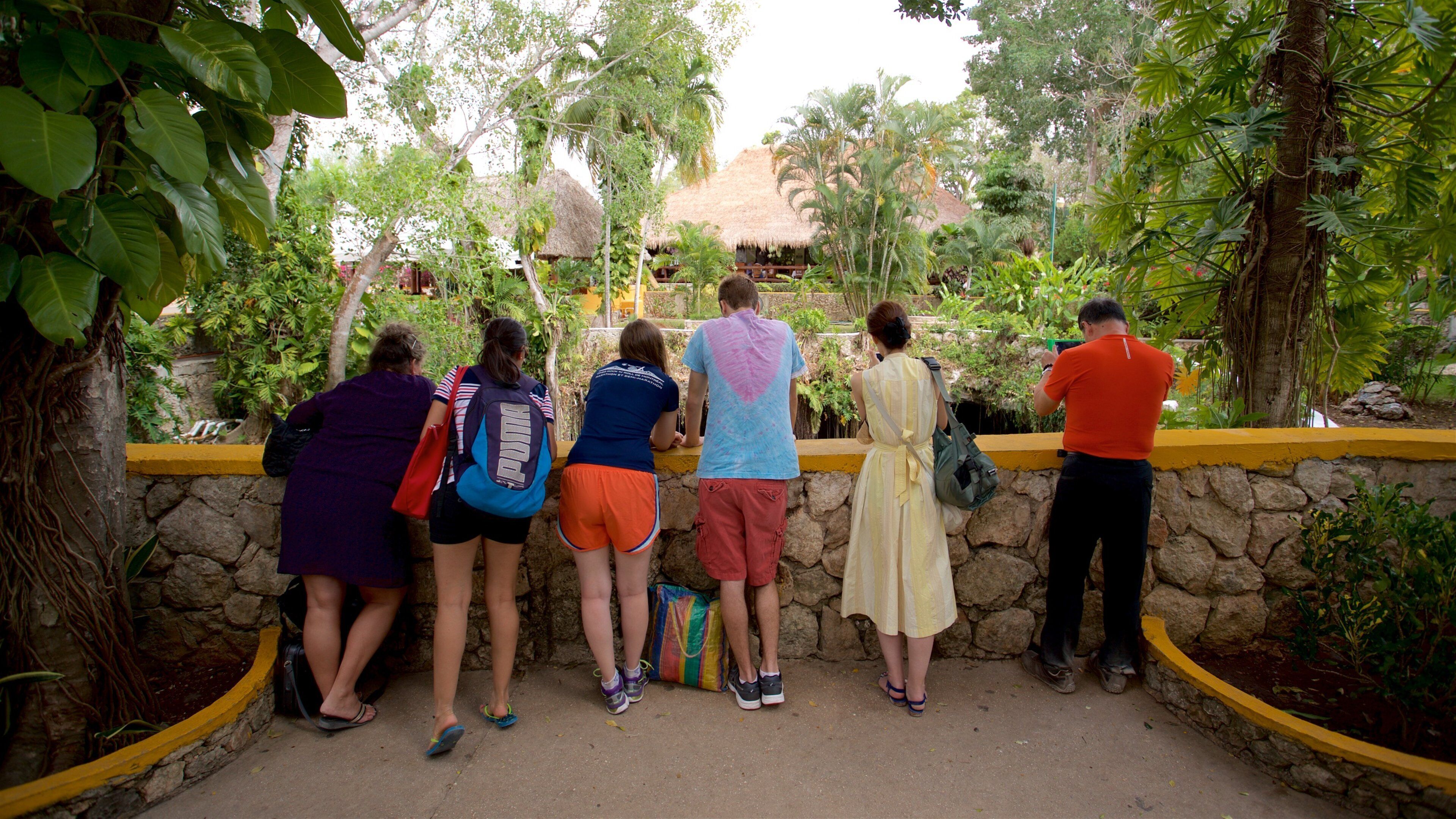Cenote Ik kil mostrando un parque y también un pequeño grupo de personas