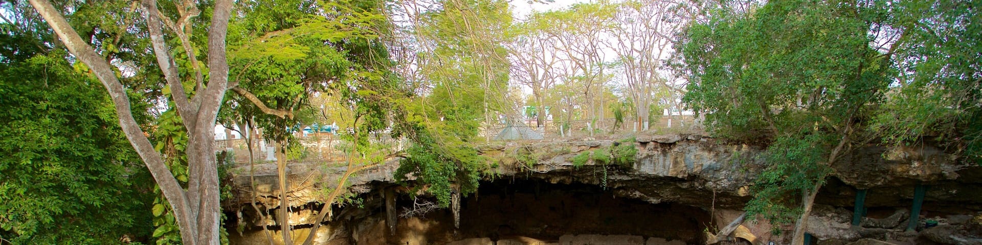 Cenote Zaci featuring a lake or waterhole