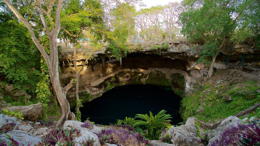 Cenote Zaci featuring a lake or waterhole