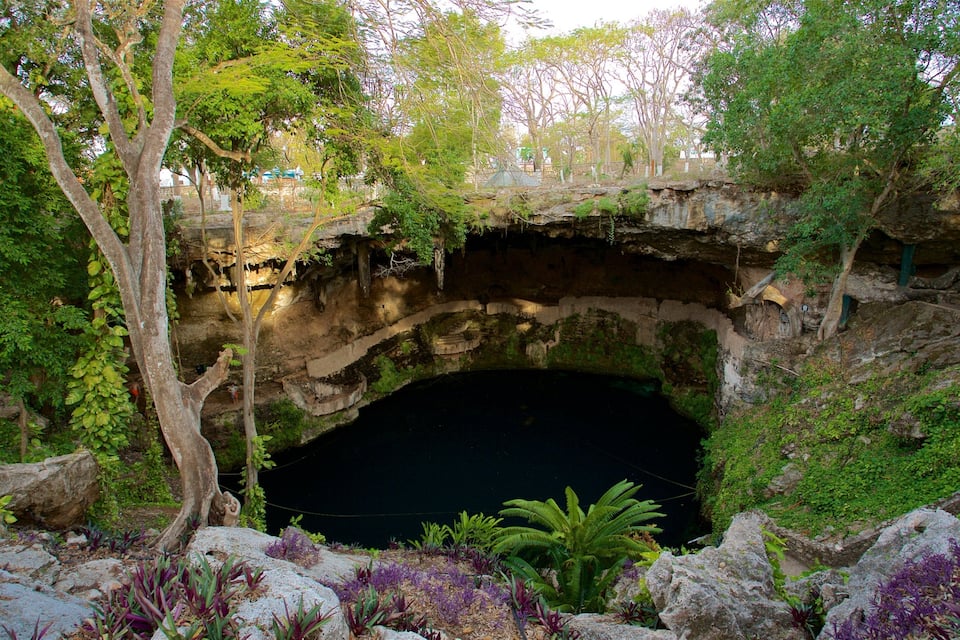 L'ingresso di una grotta naturale circondato da vegetazione lussureggiante e rocce.