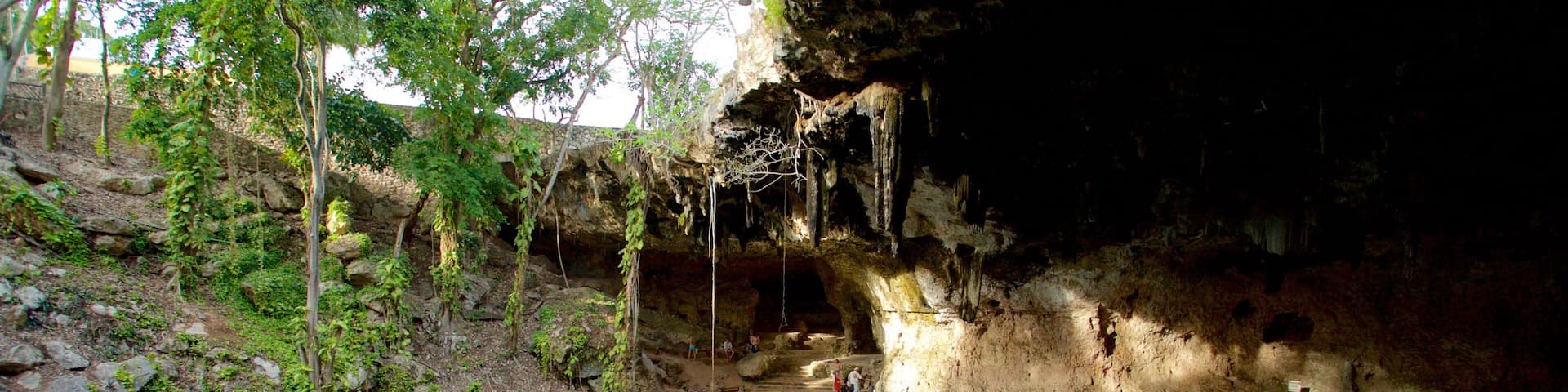 A cave with a water pool, rocky walls, and hanging stalactites.