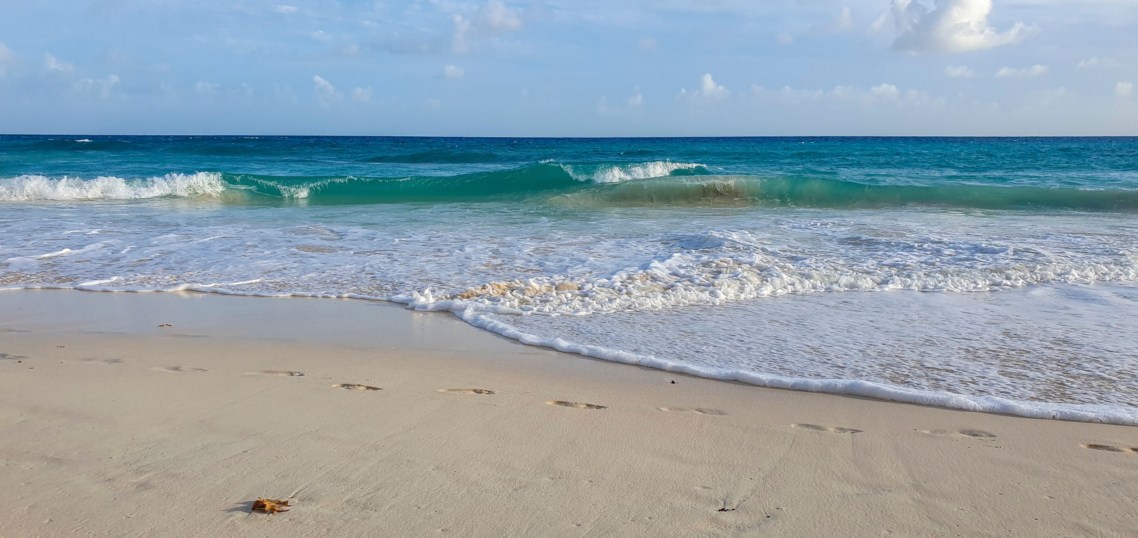 Una playa arenosa con olas suaves y un cielo azul despejado.