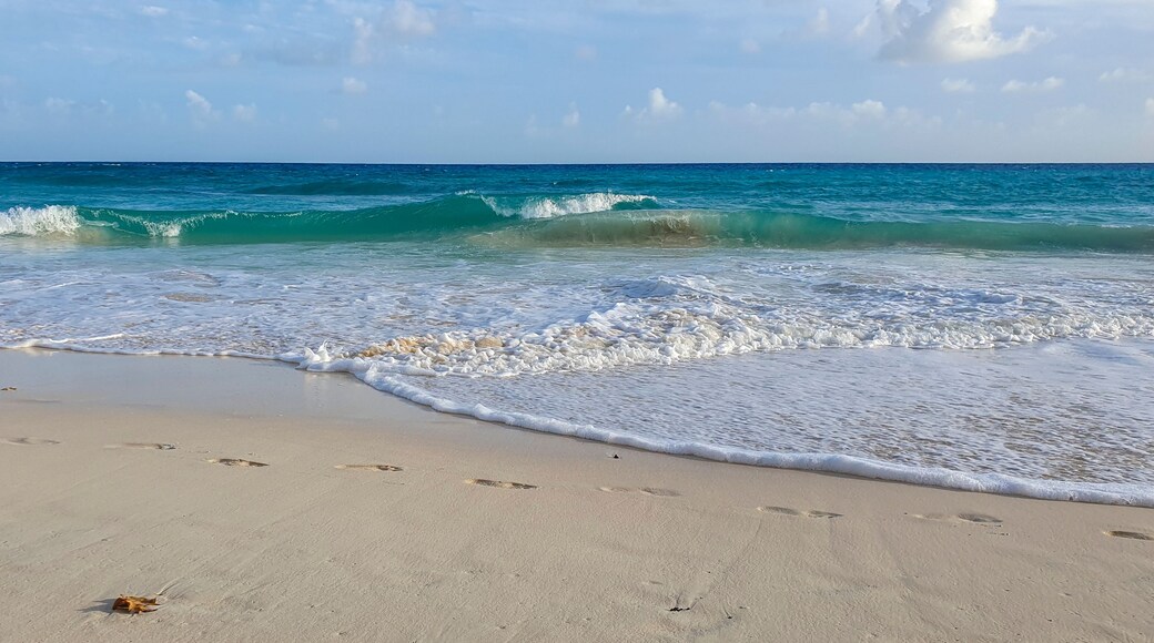 Una playa arenosa con olas suaves y un cielo azul despejado.