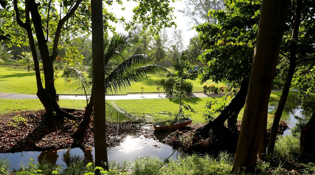 Timber Creek Golf Course