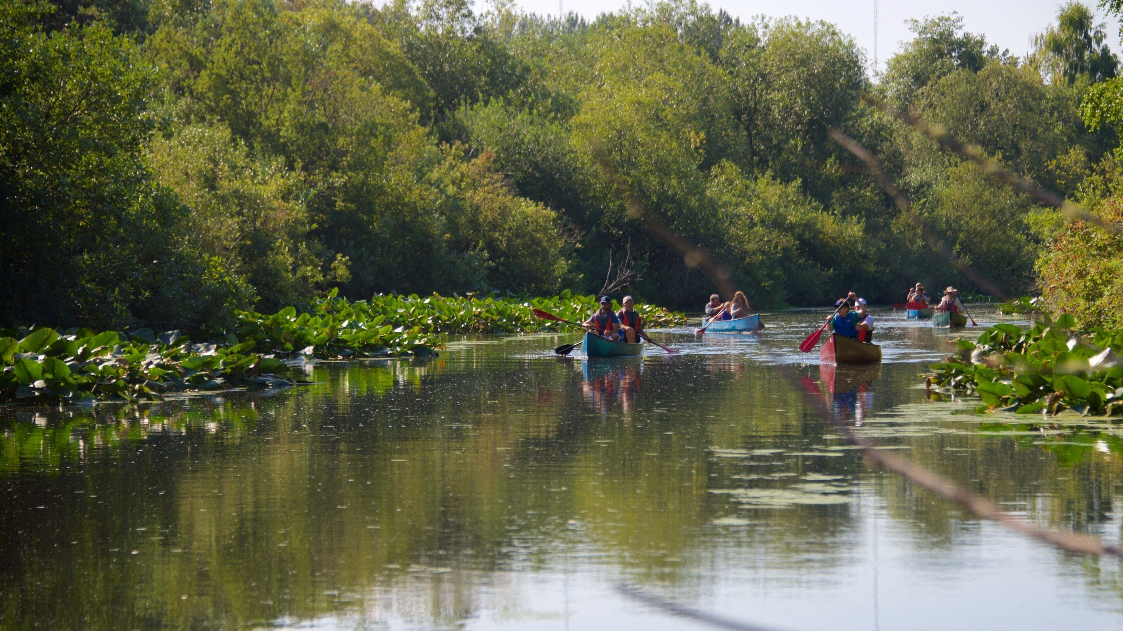 Mercer Slough Nature Park og byder på en flod eller et vandløb, en have og kajaksejlads eller kanosejlads