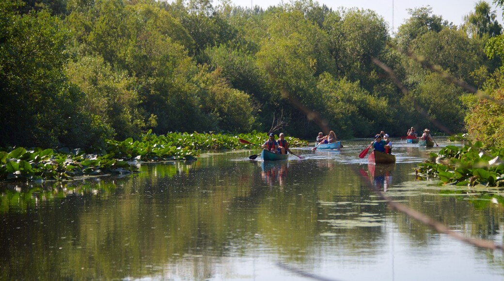 Mercer Slough Nature Park which includes kayaking or canoeing, a park and a river or creek