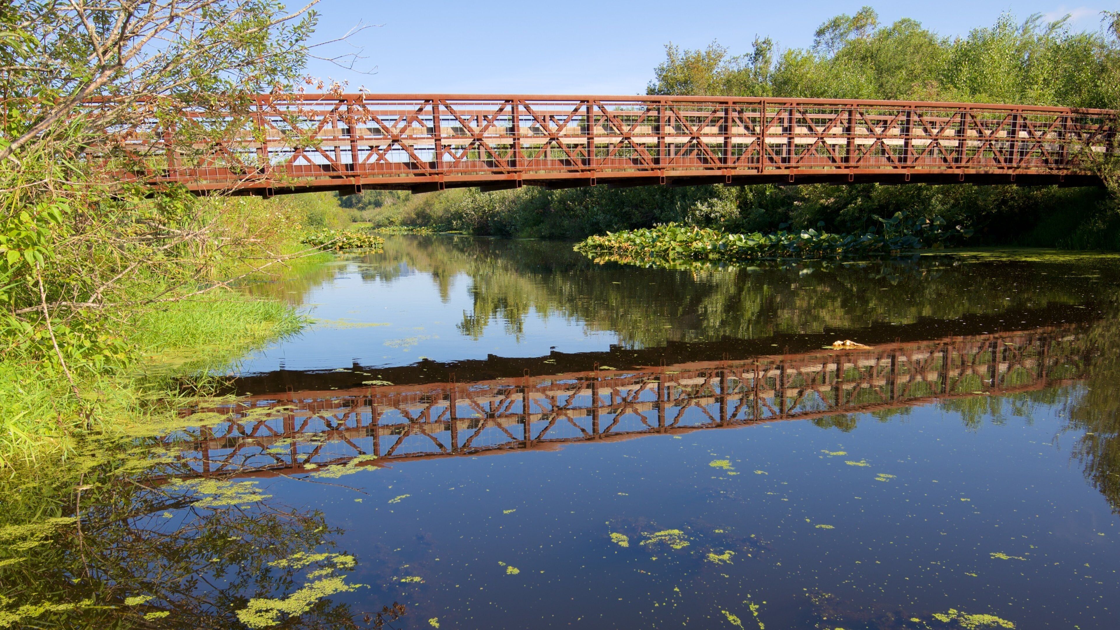 Mercer Slough Nature Park featuring a park, a river or creek and a bridge