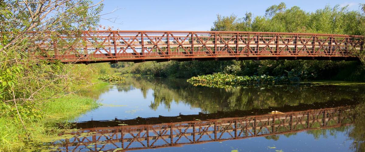 Mercer Slough Nature Park featuring a park, a river or creek and a bridge