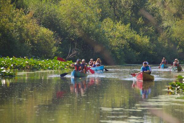 Parque natural Mercer Slough ofreciendo un río o arroyo y kayak o canoa y también un gran grupo de personas
