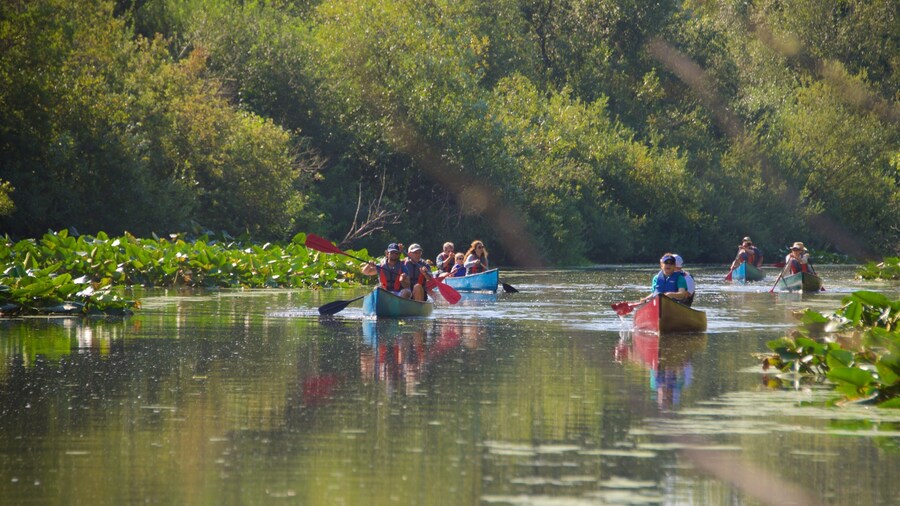 Mercer Slough Nature Park que inclui caiaque ou canoagem e um rio ou cĂłrrego assim como um grande grupo de pessoas